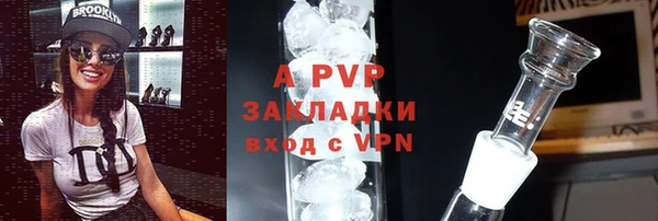 ПСИЛОЦИБИНОВЫЕ ГРИБЫ Саяногорск