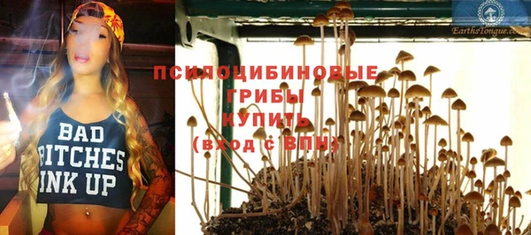 гидра Сатка