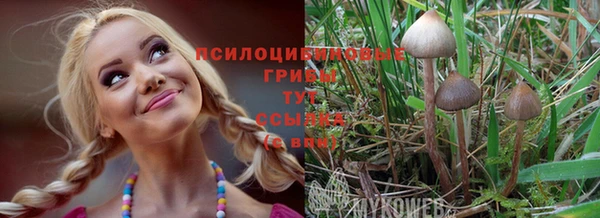 гидра Сафоново