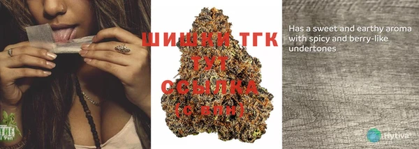 гидра Сатка