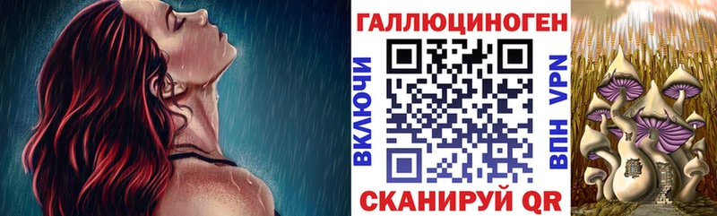 Купить где  Краснотурьинск  Галлюциногенные грибы мицелий 